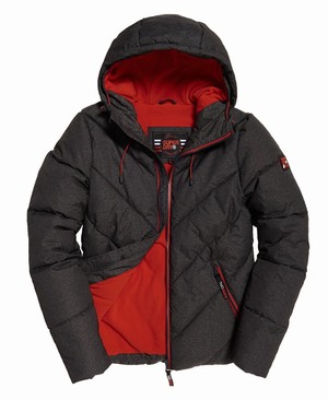 Superdry Xenon Padded Férfi Kabát Fekete | KQHEX1497